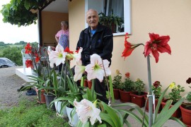 Domaćinstvo okruženo cvijećem: Botanička bašta Mileta Bundala iz ...