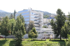 Da li je PIC rješenje za bh. probleme, i to bez SNSD-a?