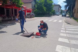 Uništavaju žohare u kanalizaciji