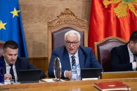 Propala smjena Andrije Mandića