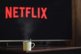 Razbijen međunarodni lanac "Netflix" fišing prevara