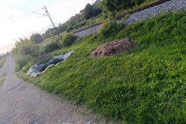 Mještani banjalučkog naselja na mukama: Pružni prelaz zarastao, put ...
