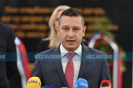 Goganović: Samovoljnim djelovanjem Helez nanio ogromnu štetu sistemu ...