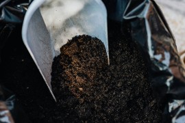 Prirodni preparat za zaštitu biljaka: Napravite sami organsko đubrivo ...
