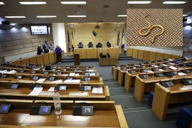 Zmija otkazala sjednicu Doma naroda FBiH