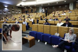 Objavljen snimak zmije zbog koje je otkazana sjednica Doma naroda FBiH