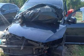 Kombi pun životinja iz BiH imao udes u Italiji, putnici povrijeđeni ...