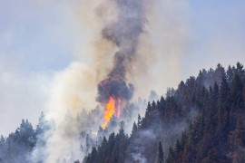 Na mjestu požara na Jadranu pronađeni tragovi, jedna osoba uhapšena