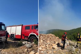 Požar kod Gruda i dalje bjesni: Vatra zahvatila više od 100.000 ...