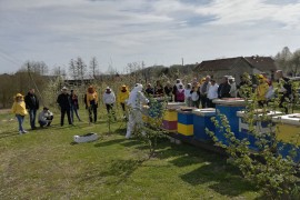 Rekordan prinos: Kestenov med je prava bomba za imunitet
