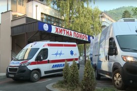 Sve češći ujedi zmija, u bolnici jedna doza seruma (VIDEO)