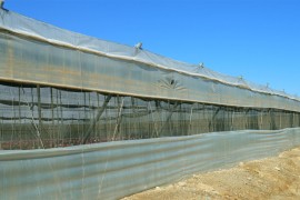 Izgorjelo 12 plastenika punih jagoda i dio hale