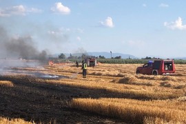Veliki požar na njivi, gore pšenica i rolo-bale (FOTO)