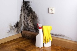 Kako očistiti zidove bez krečenja: Domaći trik briše mrlje za pet ...