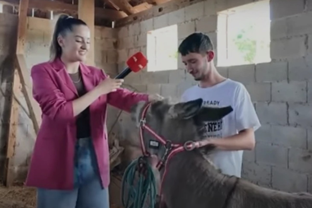 Tek punoljetan Mirko iz Širokog Brijega vodi vlastitu farmu (VIDEO)