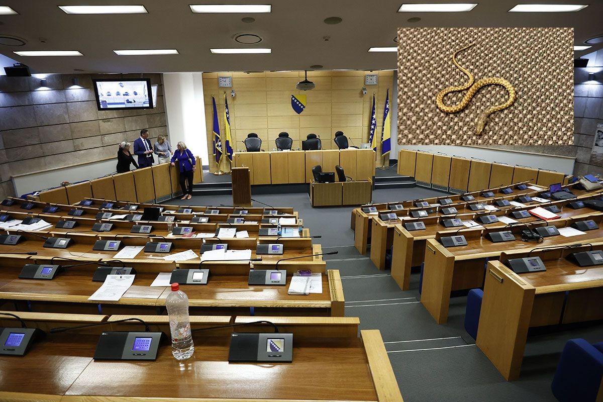 Zmija otkazala sjednicu Doma naroda FBiH