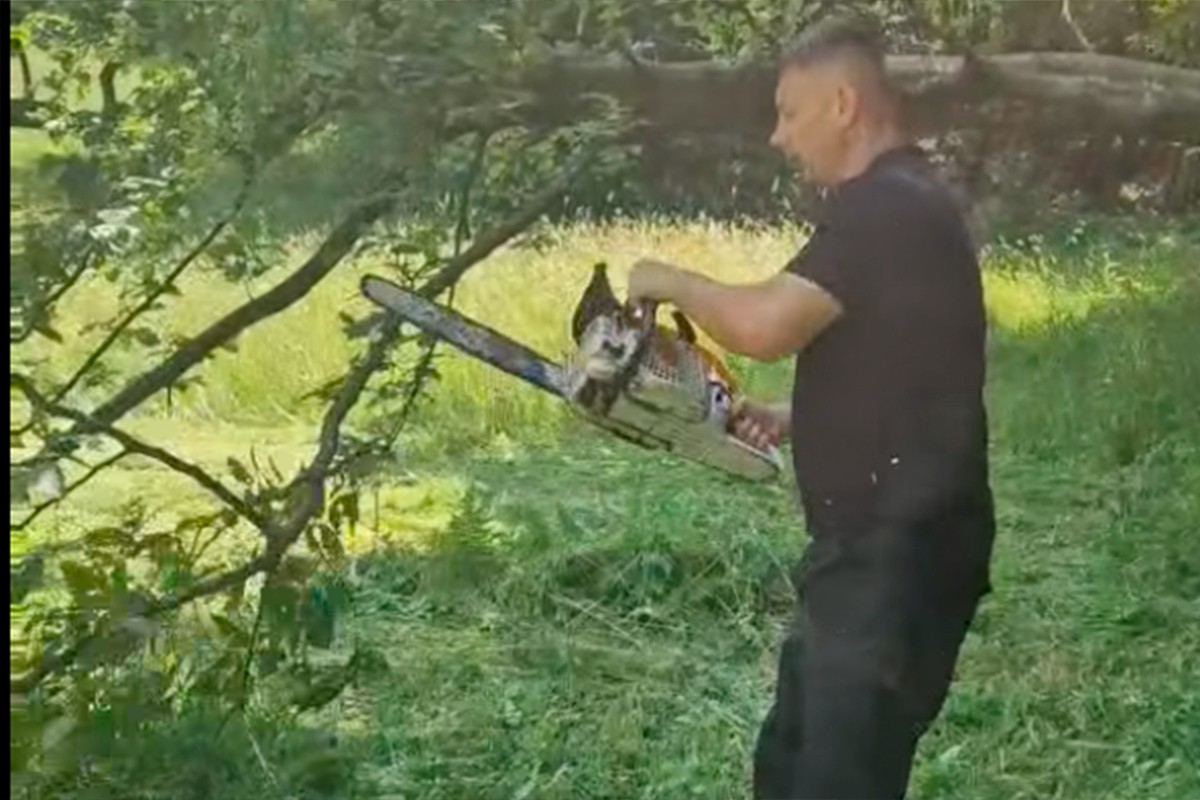 Nakon kose, Nešić se latio motorke (VIDEO)