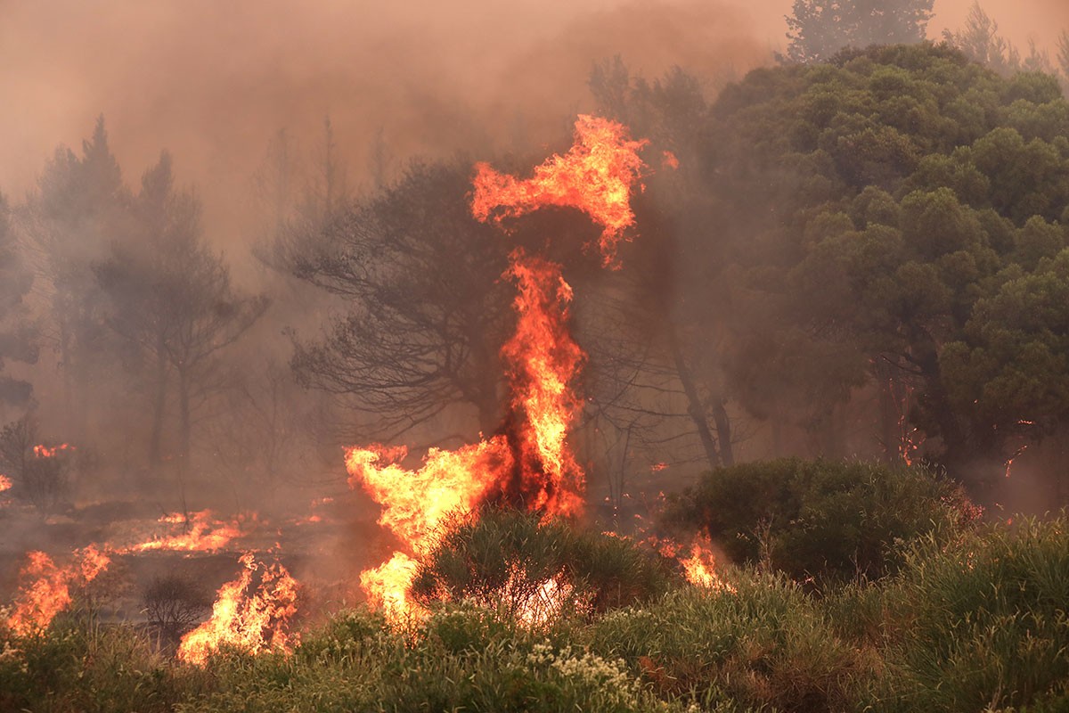 Hrvatska u plamenu: Vatru gasi 27 vatrogasaca i kanaderi