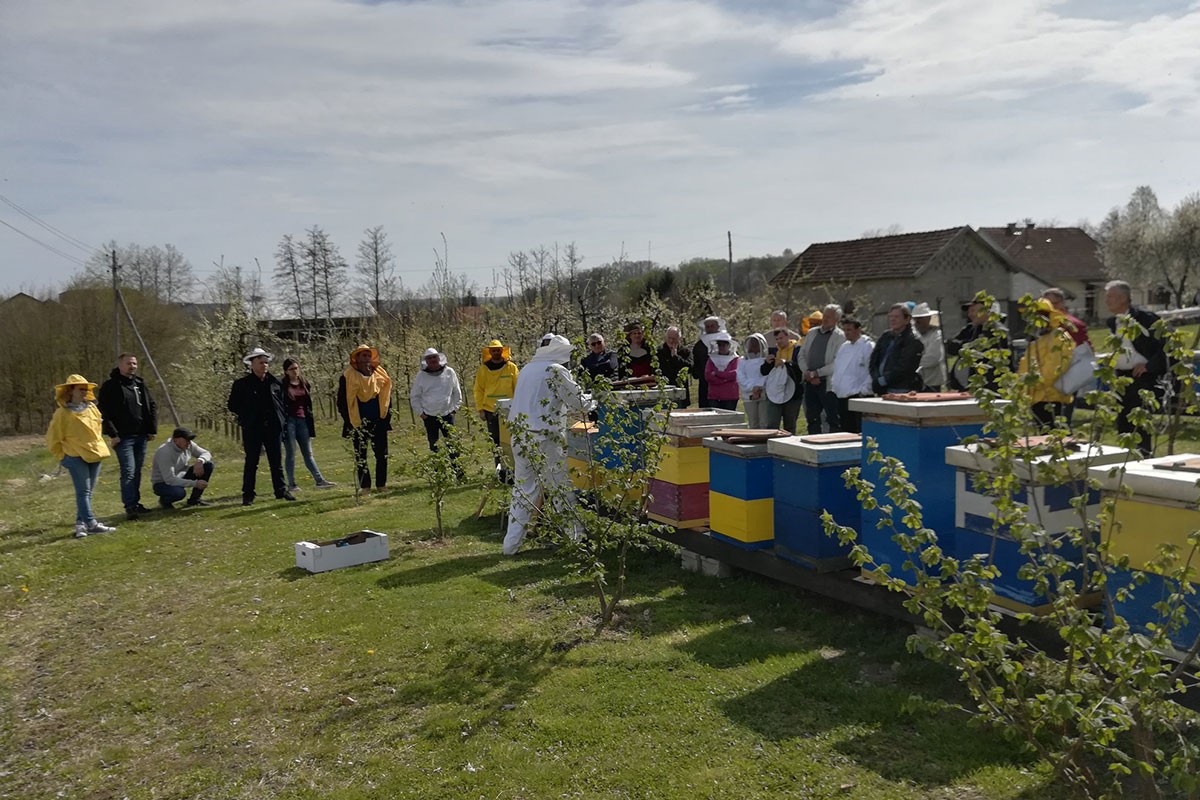 Rekordan prinos: Kestenov med je prava bomba za imunitet