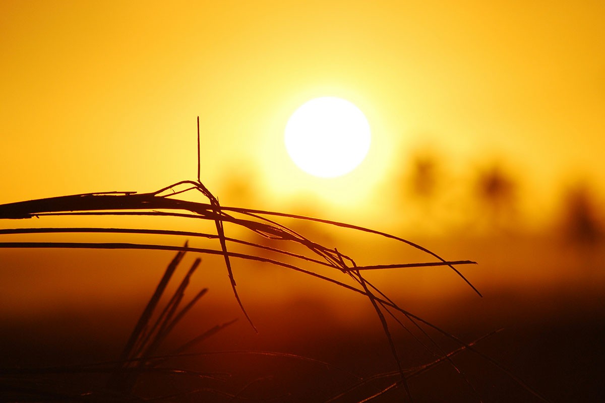 Evropa gori: Temperature prelaze 40 stepeni, izdana upozorenja