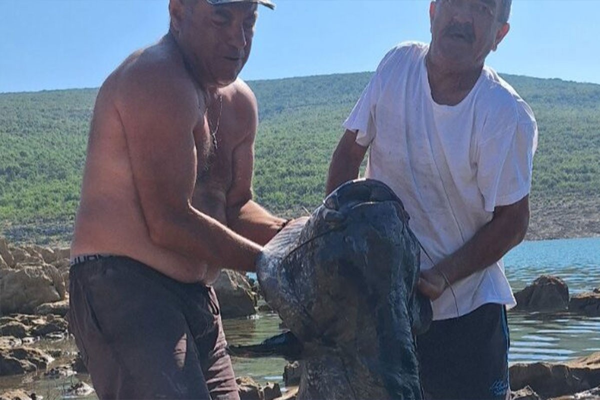 Kapitalac duži od dva metra ulovljen u Bilećkom jezeru: "Borba je bila velika" (FOTO)