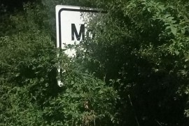 Tabla za Motike zarasla u vegetaciji