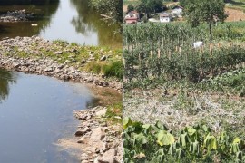 Spreča skoro presušila: Spržene bašte, ugrožena riba