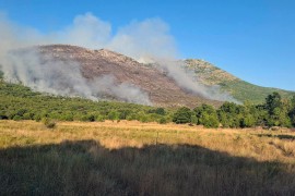 Veliki požar oko Trebinja: Ugrožene kuće, vjetar otežava situaciju ...