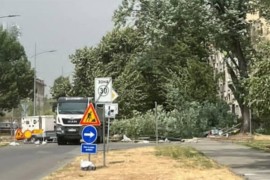 Stablo palo na djevojčicu (8) i ženu tokom nevremena u Novom Sadu ...