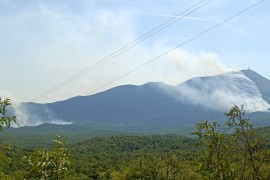 Borba sa vatrom kod Trebinja: Požarna linija dugačka preko dva ...