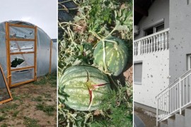 Štete u Posavini: Plastenici probijeni, lubenice razbijene, led satrao ...