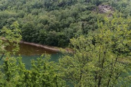 "Procvjetao" Vrbas, iz "Vodovoda" tvrde da nema razloga za zabrinutost