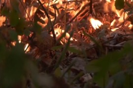 Buknuli novi požari u Topličkom kraju