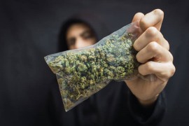 Slovenija legalizuje marihuanu?