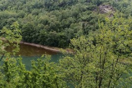 Oglasili se iz Inspektorata o "cvjetanju" Vrbasa i kvalitetu vode