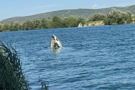 Misterija tragedije na Neretvi: Svemu prethodio noćni izlazak, treći ...