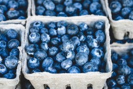 Borovnice nadmašile maline: Nikad bolja berba