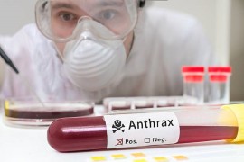 Antraks potvrđen u Hrvatskoj