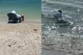 Ostavila muža da spava na plaži, nakon tri sata zatekla urnebesnu ...