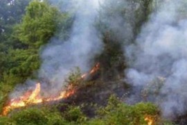 Aktivno više od 100 požara u Srbiji