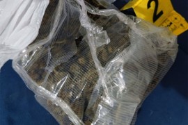 Pred roditeljima u Banjaluci od maloljetnika oduzeta marihuana