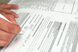 Ništa od popisa stanovništva: BiH prvo popisuje ovce, ljudi će još ...