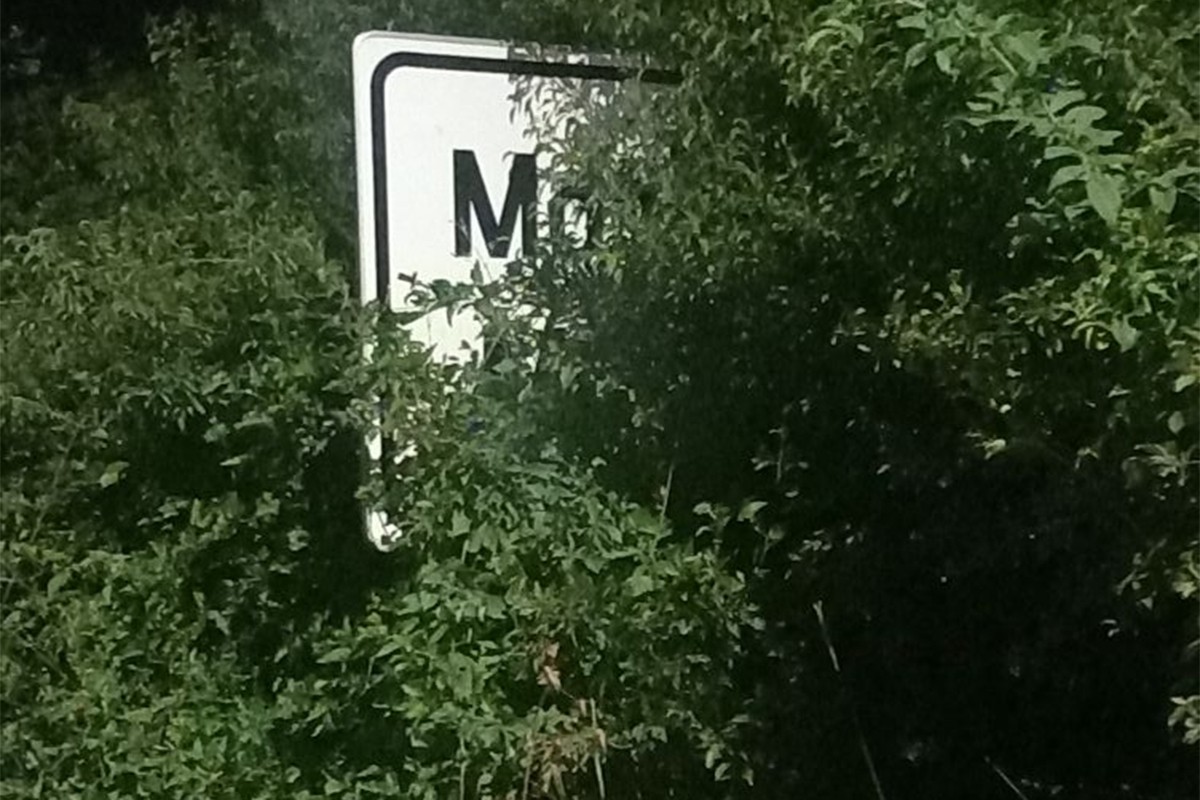 Tabla za Motike zarasla u vegetaciji