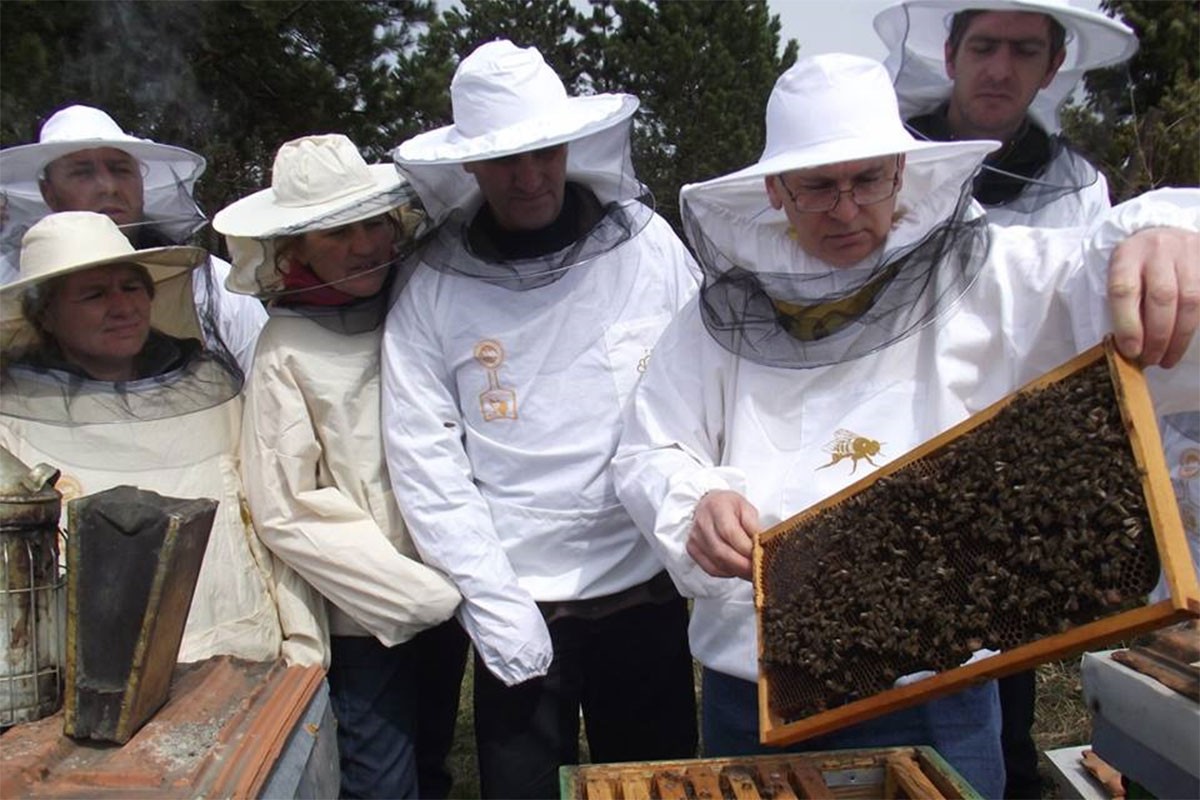 Pčelarstvo sve više na mukama zbog klimatskih uslova