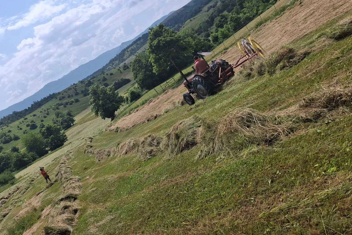 Posvađali se tokom kosidbe, pa zapalio sijeno