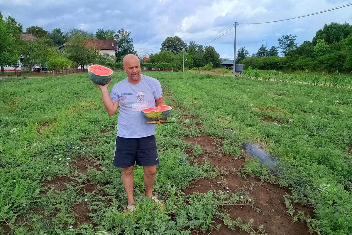 Inovativnom tehnikom uzgojio lubenice slatke kao med