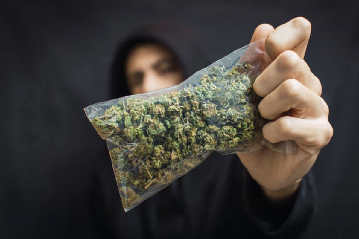 Slovenija legalizuje marihuanu?