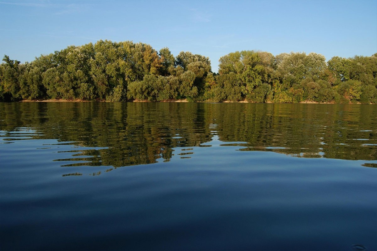 Tisa izbacila na obalu tri vreće sa jezivim sadržajem, mještani u šoku