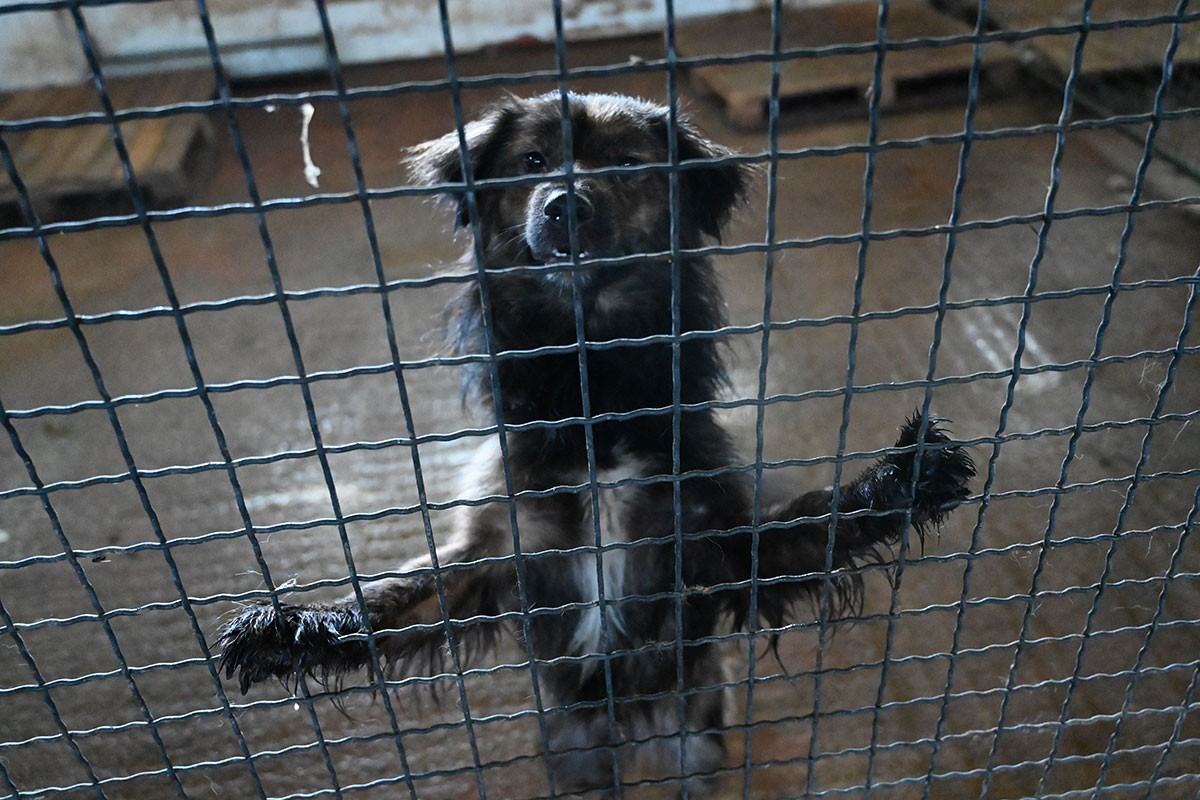Dodik ispunio obećanje, počinju radovi u azilu na Manjači