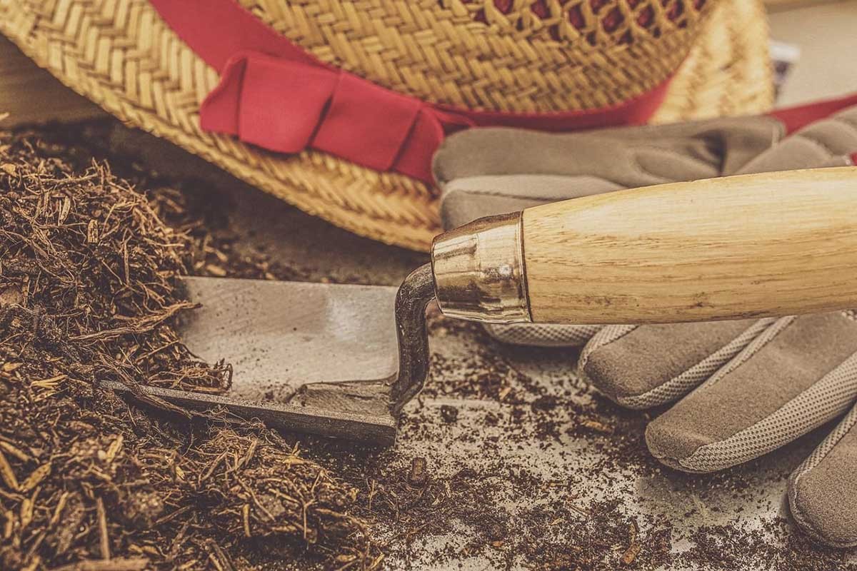 Sjeme koje neće da klija: Pomaže drevna, jednostavna i prirodna metoda